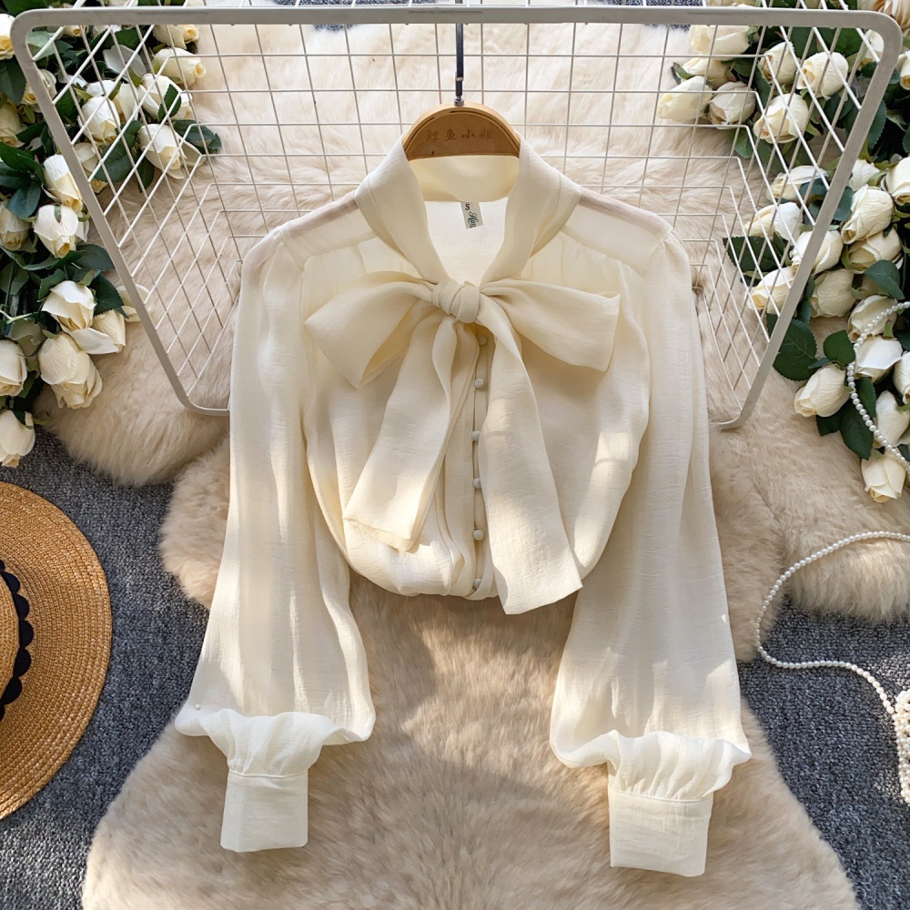 Unique spring and autumn tops chiffon bow shirt