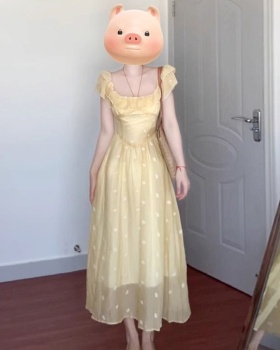 Vacation dress pinched waist long dress for women