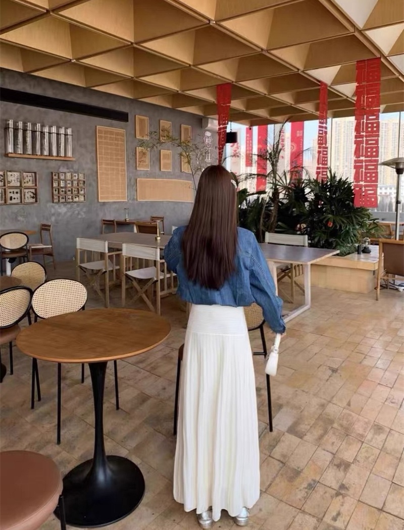 Spring pleated long skirt elegant long skirt for women