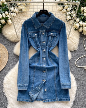 Korean style breasted denim A-line slim dress for women