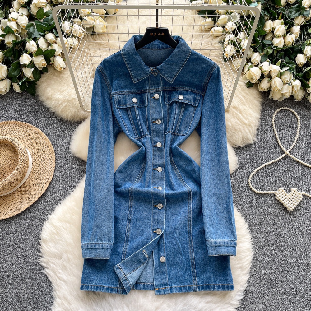 Korean style breasted denim A-line slim dress for women