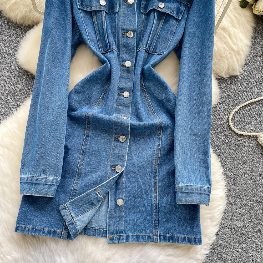 Korean style breasted denim A-line slim dress for women