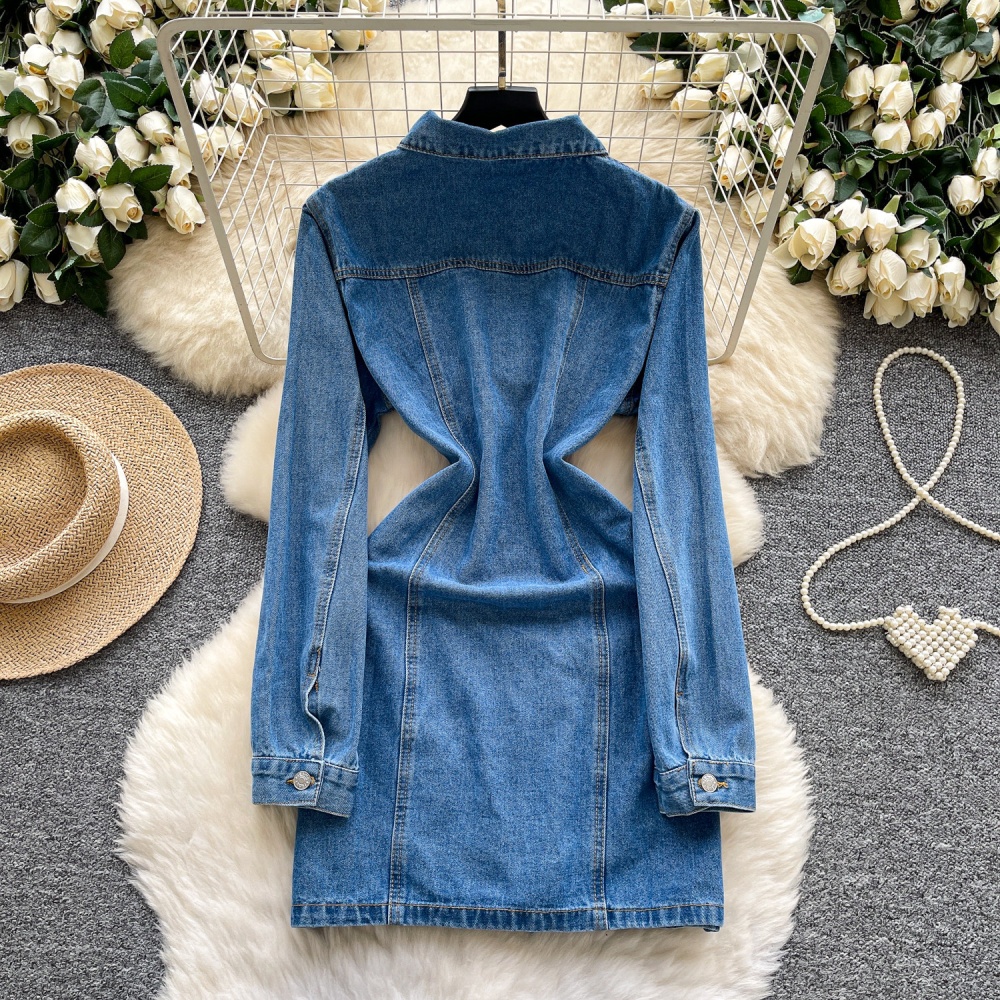 Korean style breasted denim A-line slim dress for women