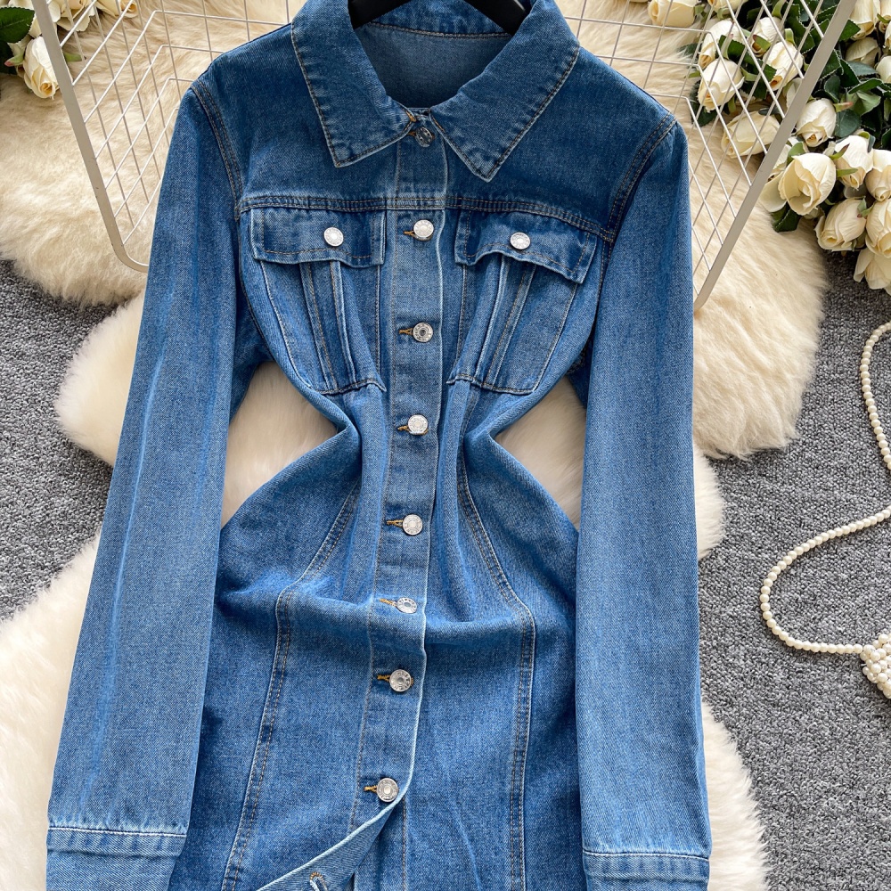 Korean style breasted denim A-line slim dress for women