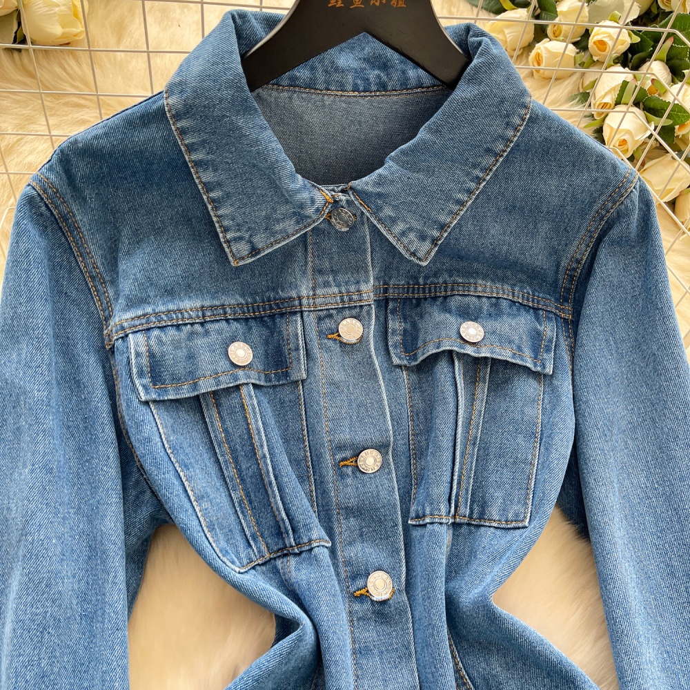 Korean style breasted denim A-line slim dress for women