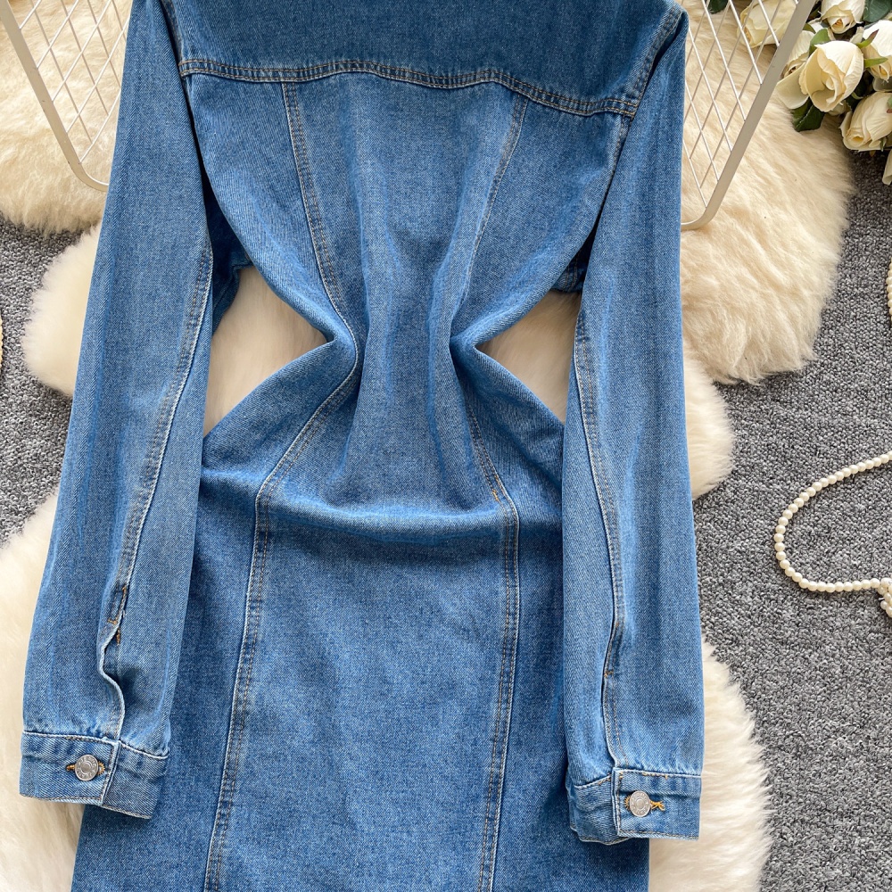 Korean style breasted denim A-line slim dress for women