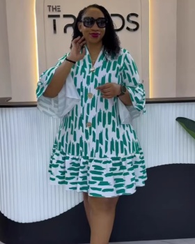 Loose commuting elegant printing splice dress