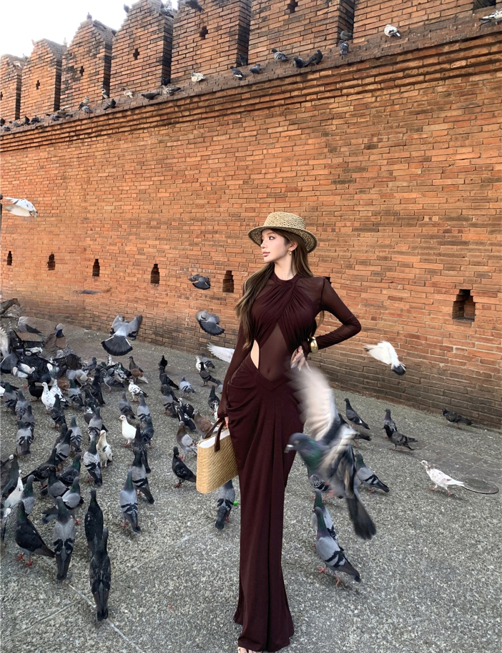 Slim hollow enticement dress gauze sexy long dress