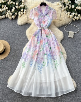 Short sleeve frenum dress temperament long dress for women