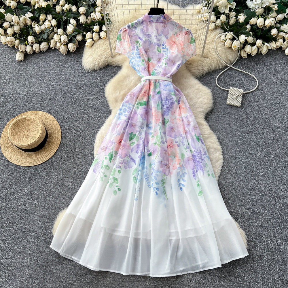 Short sleeve frenum dress temperament long dress for women