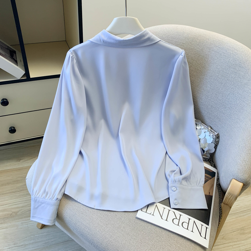 Personality long sleeve shirt spring pure tops for women