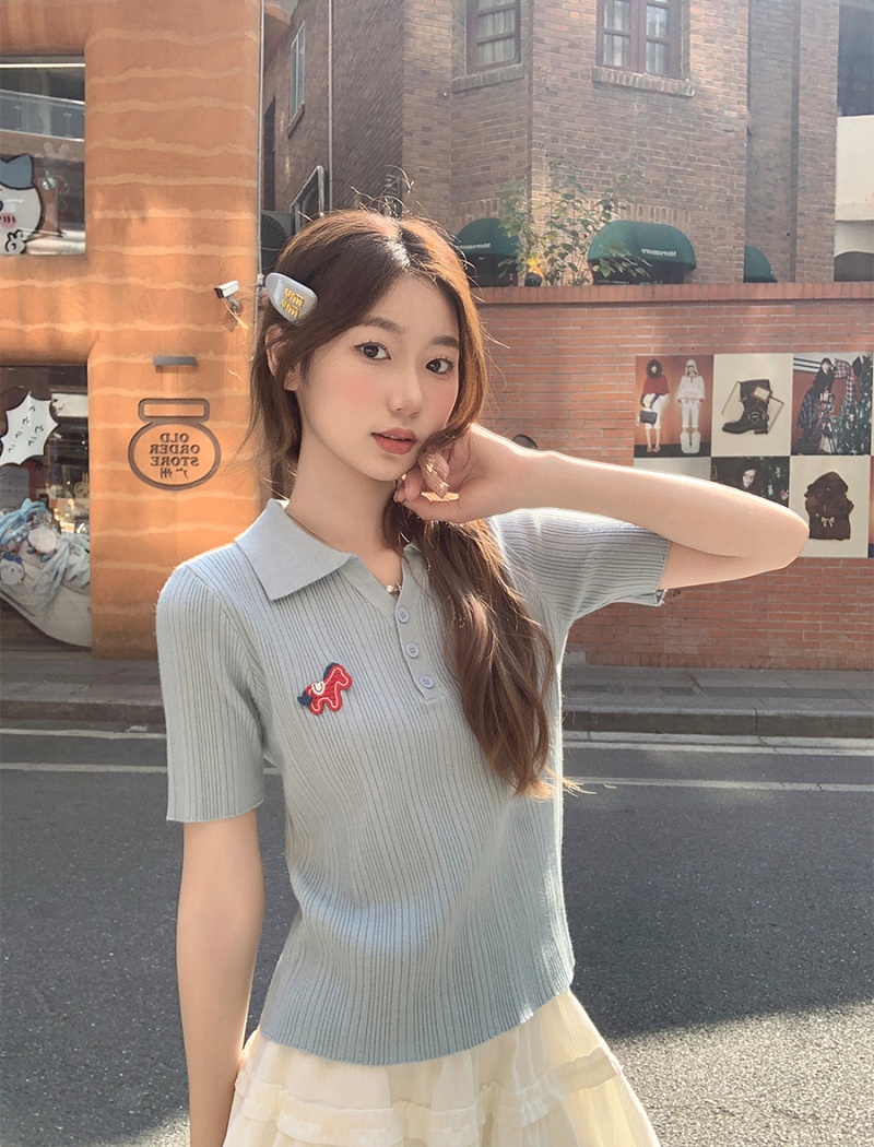 Temperament short sleeve sweater slim tops