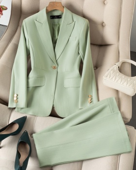 Profession business suit thin suit pants a set for women