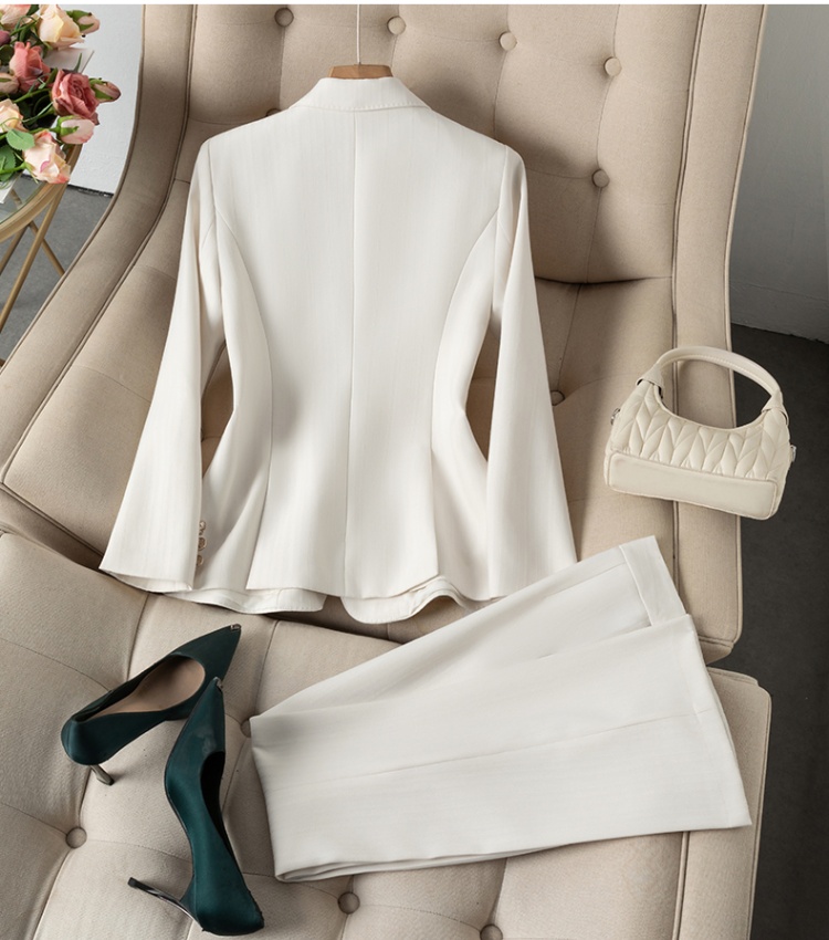Profession business suit thin suit pants a set for women