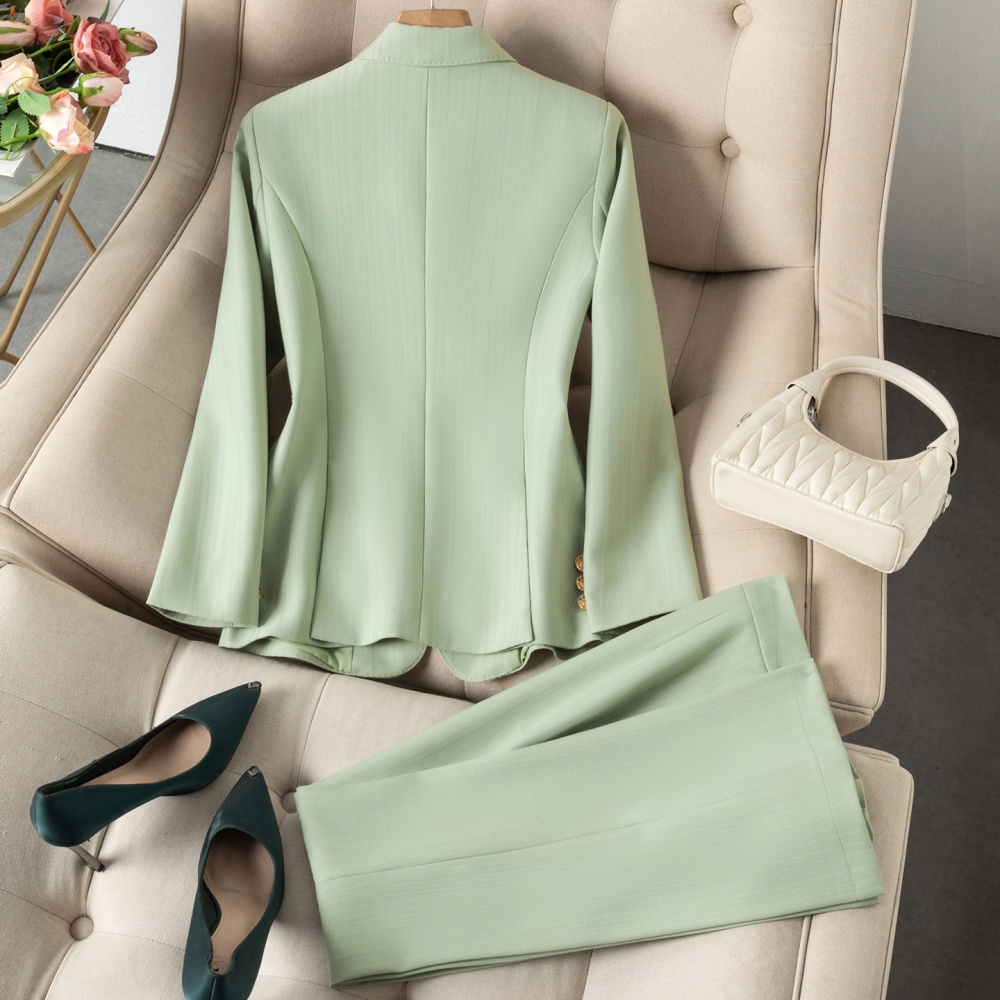 Profession business suit thin suit pants a set for women