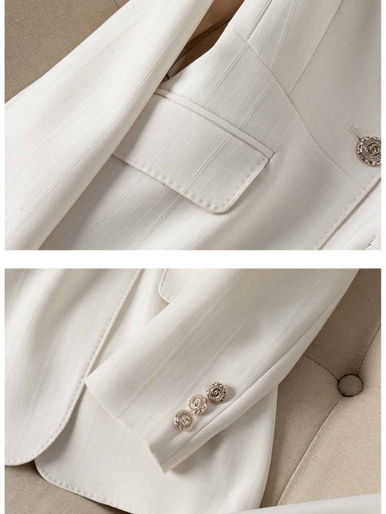 Profession business suit thin suit pants a set for women