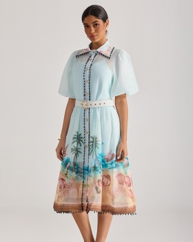 Printing beach dress painting short sleeve long dress