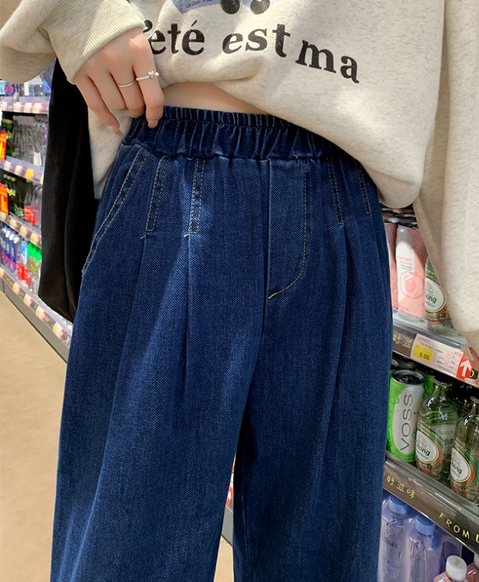 High waist elastic waist pants loose jeans for women