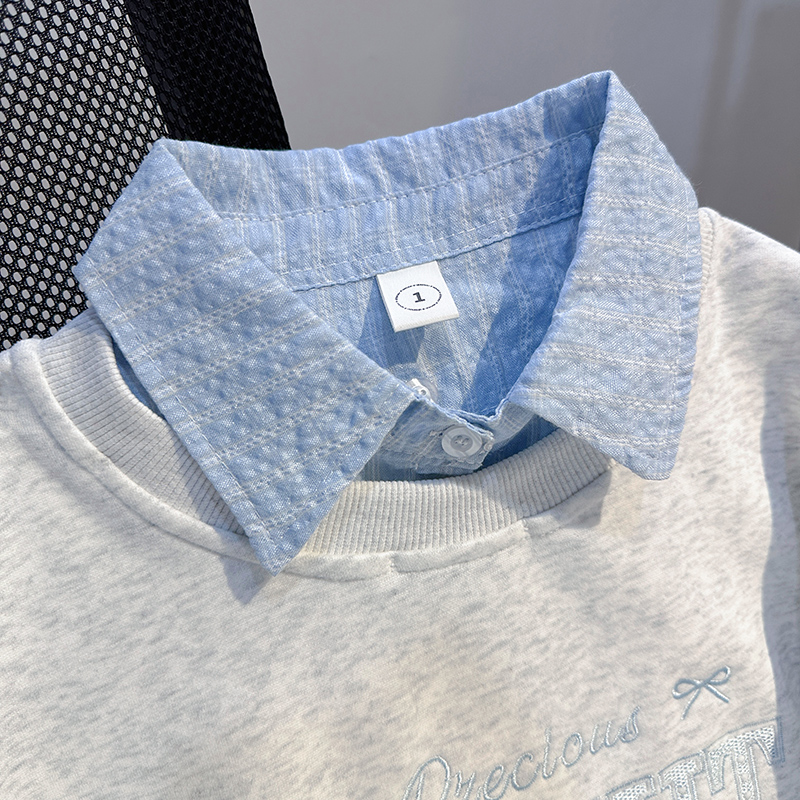 Pseudo-two loose tops thin stripe hoodie