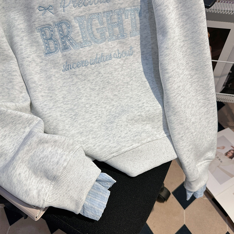 Pseudo-two loose tops thin stripe hoodie