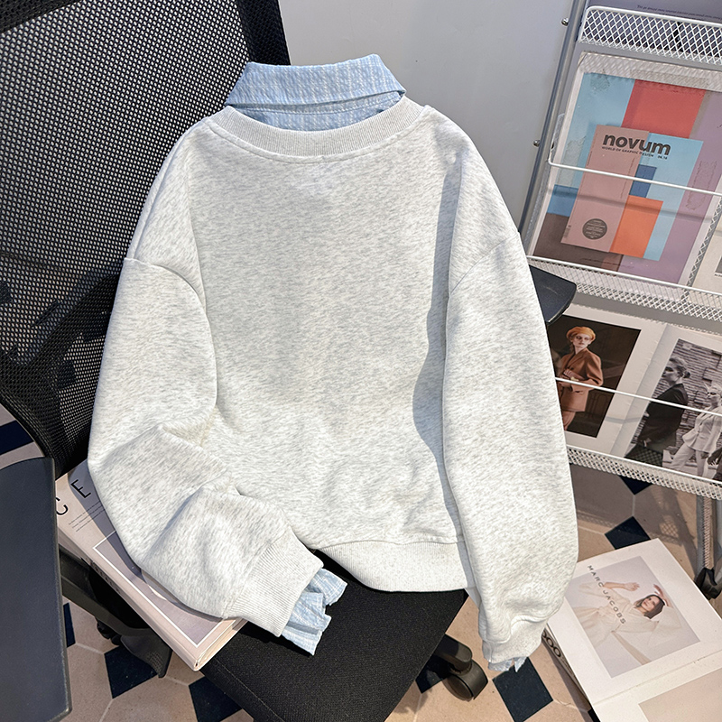 Pseudo-two loose tops thin stripe hoodie