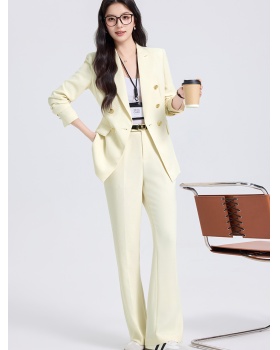 Thin summer suit pants profession business suit a set for women