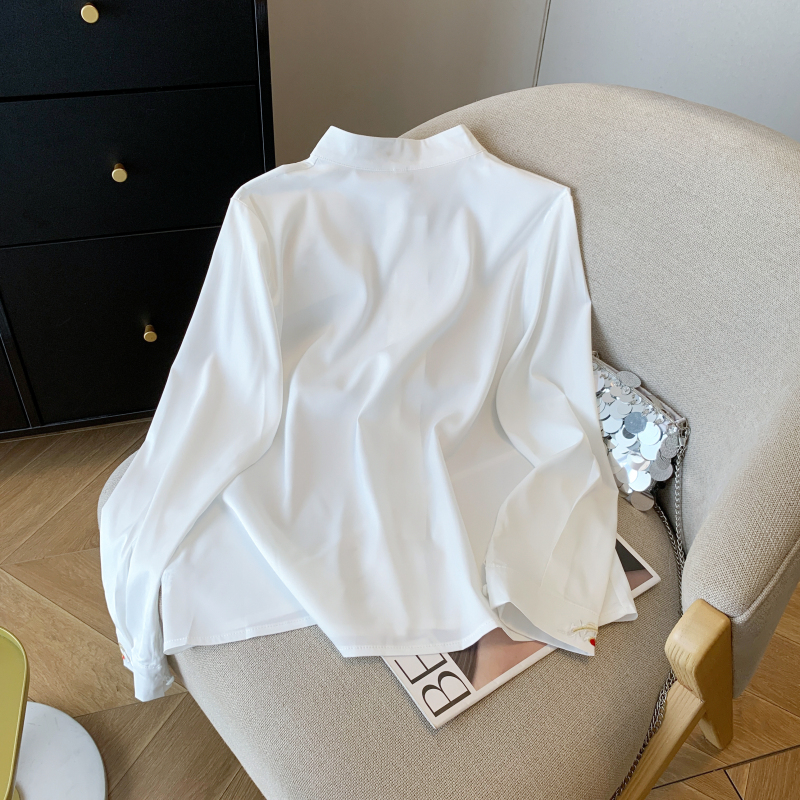 Cstand collar embroidery shirt long sleeve tops for women