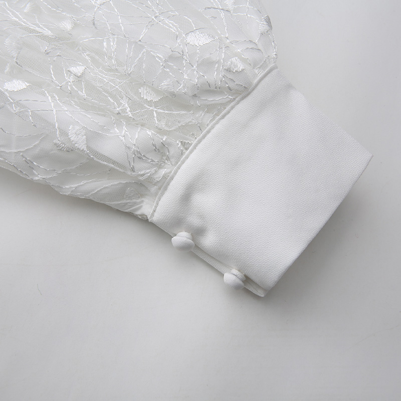 Spring embroidery long gauze dress