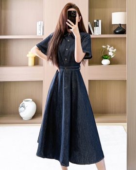 Temperament A-line long dress spring short sleeve dress