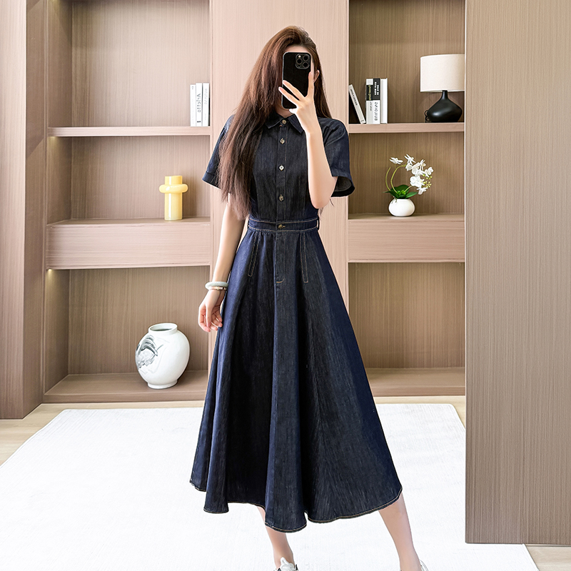 Temperament A-line long dress spring short sleeve dress