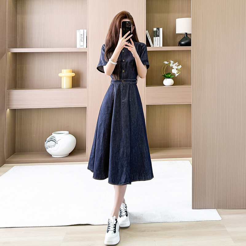 Temperament A-line long dress spring short sleeve dress