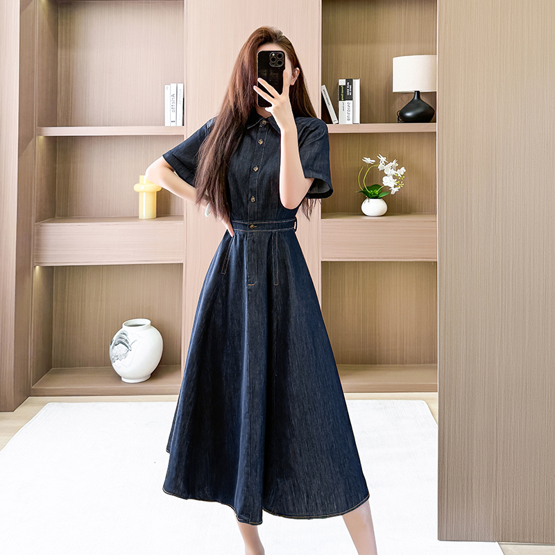 Temperament A-line long dress spring short sleeve dress