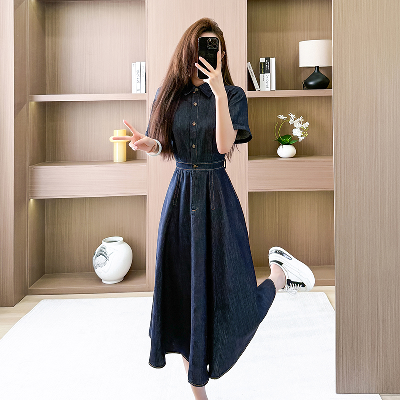 Temperament A-line long dress spring short sleeve dress
