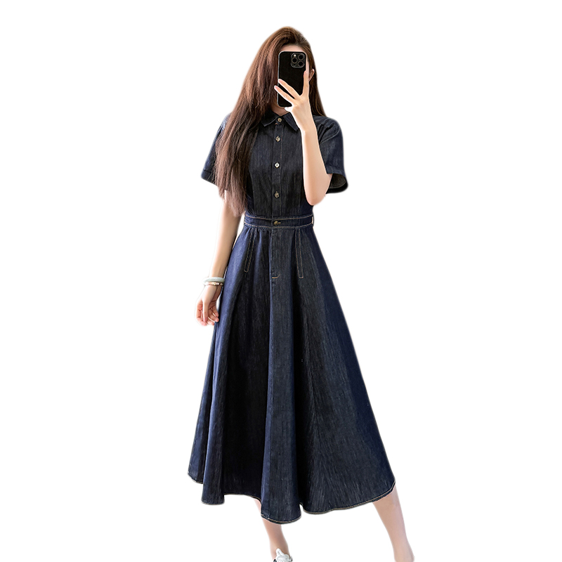Temperament A-line long dress spring short sleeve dress