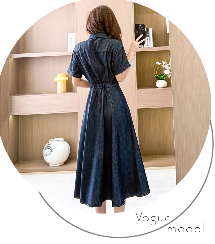 Temperament A-line long dress spring short sleeve dress