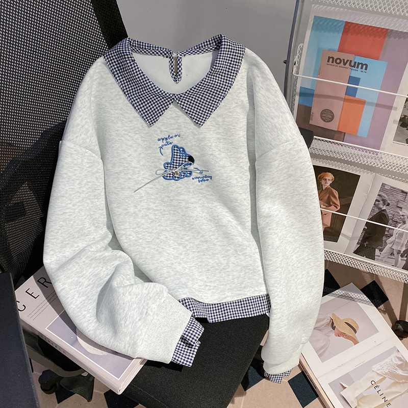 Spring and autumn thin hoodie loose tops for women