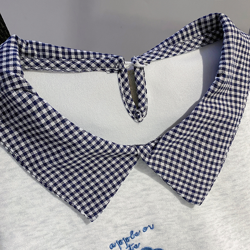 Spring and autumn thin hoodie loose tops for women