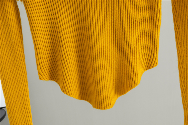 Spring and autumn cloak tender tops 2pcs set for women