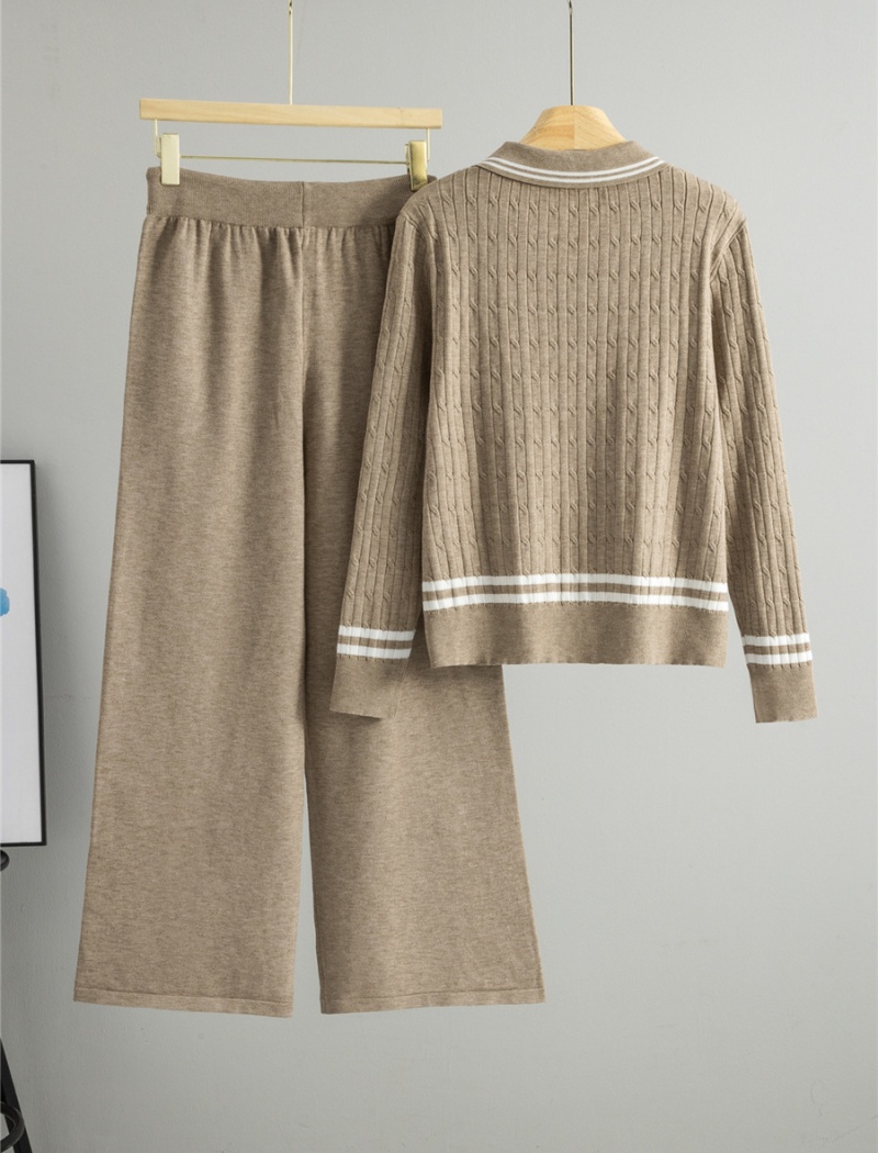 Wide leg pants 2pcs set for women