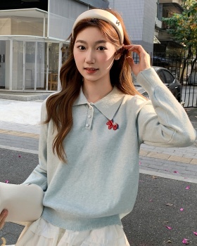 Embroidery Casual long sleeve sweater lazy pony tops