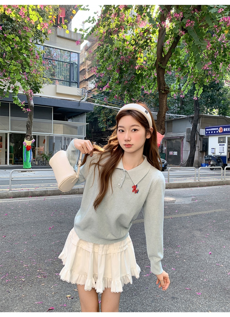 Embroidery Casual long sleeve sweater lazy pony tops