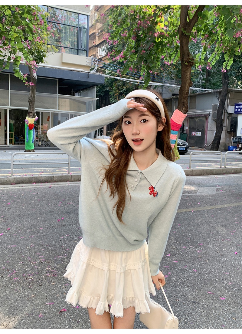 Embroidery Casual long sleeve sweater lazy pony tops