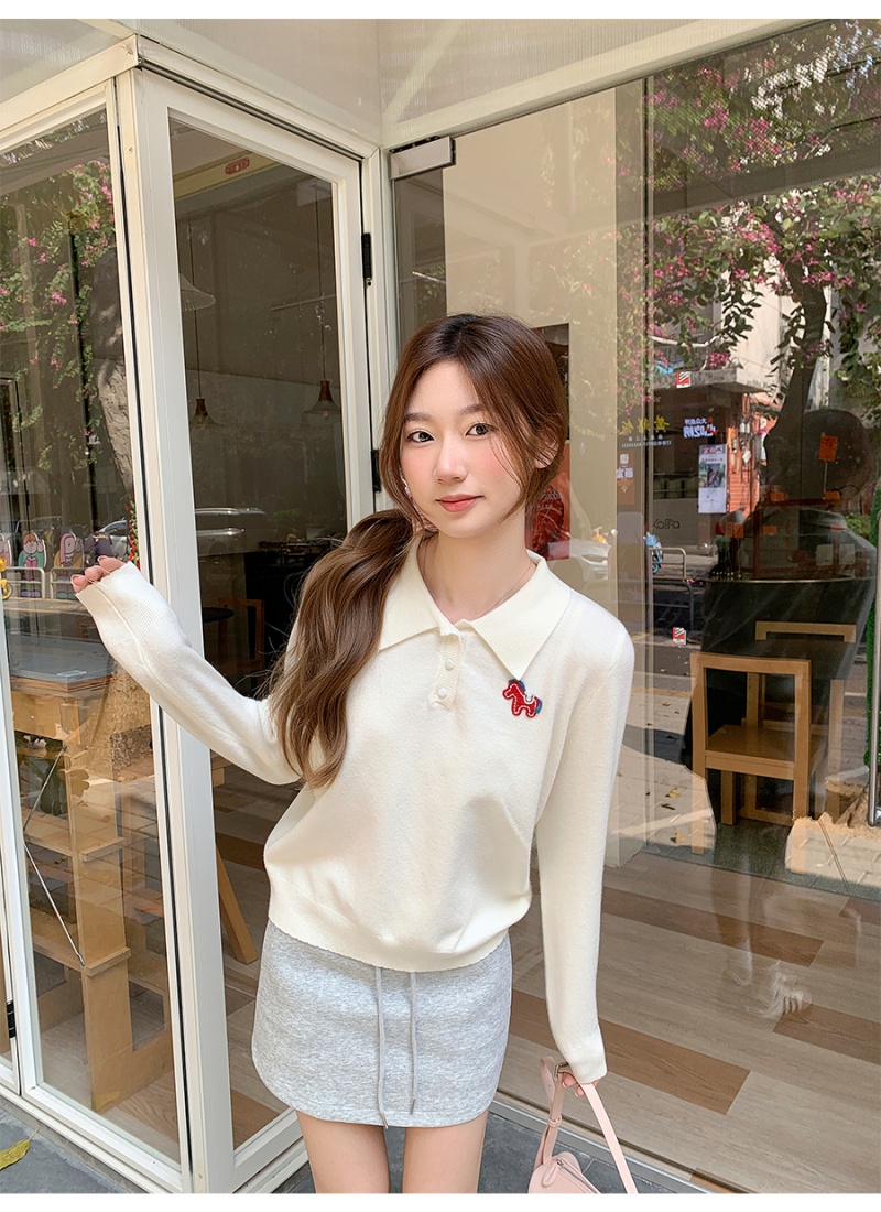 Embroidery Casual long sleeve sweater lazy pony tops