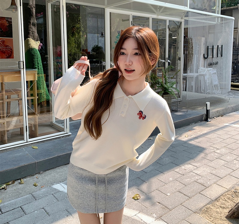 Embroidery Casual long sleeve sweater lazy pony tops