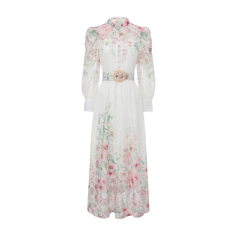 Puff sleeve lace long spring and summer painting dress