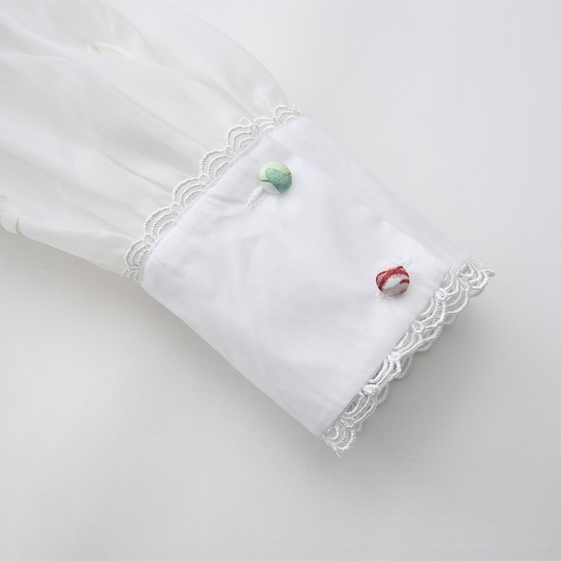 Puff sleeve lace long spring and summer painting dress