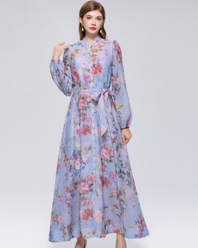 Long sleeve niche big skirt pinched waist printing dress