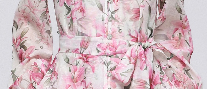 Long sleeve pinched waist niche France style printing dress