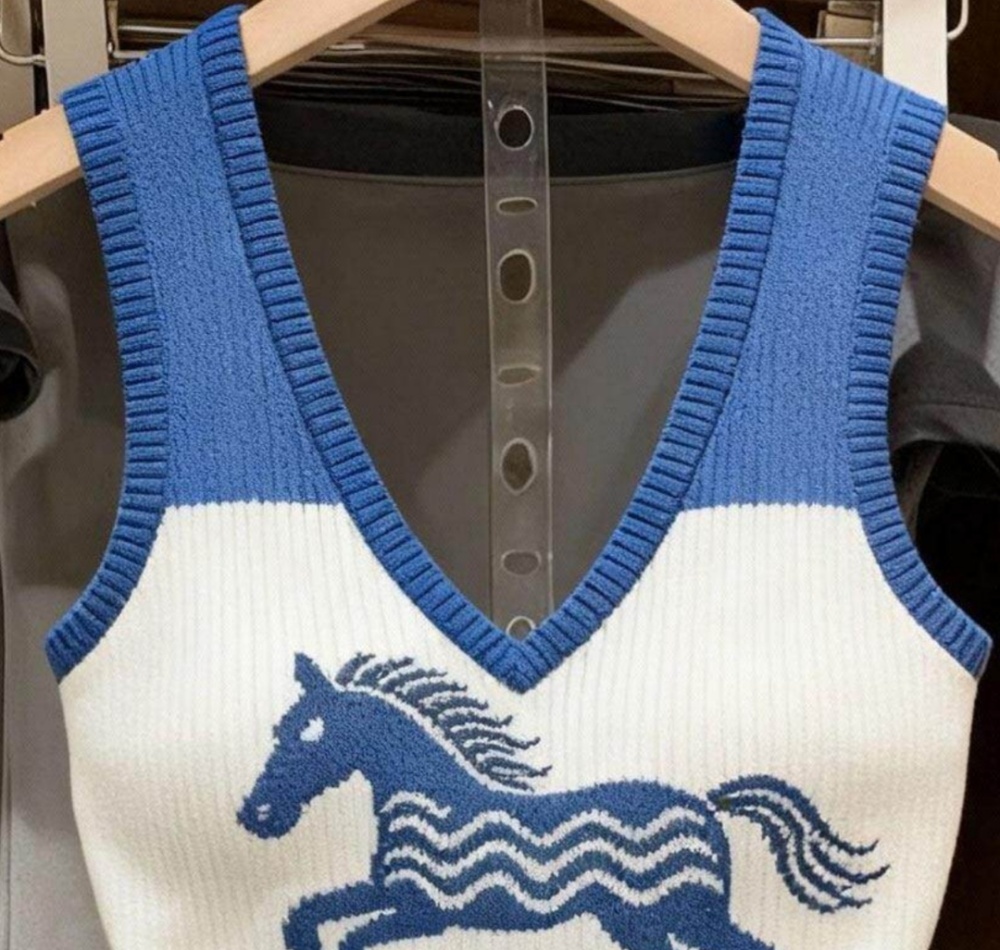 V-neck pattern sweater pony vest for women