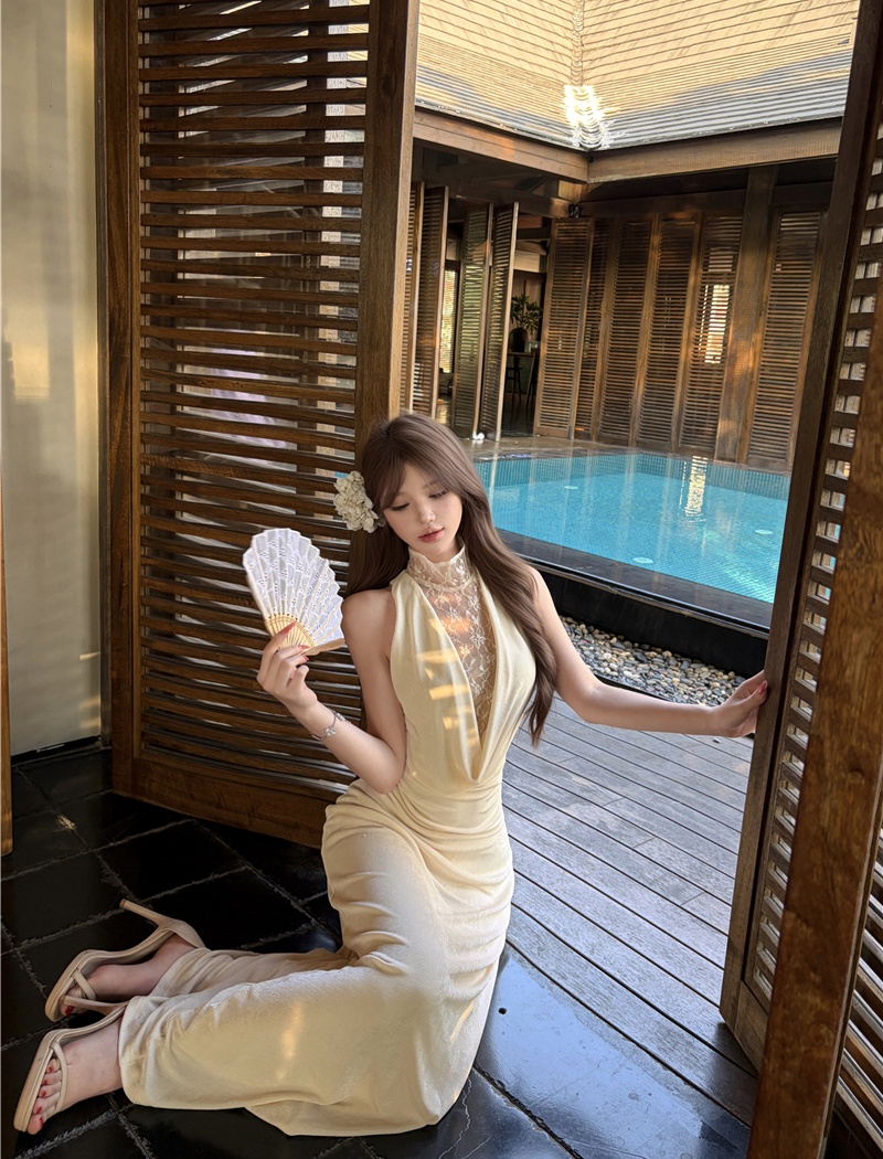 Temperament gauze dress slim retro long dress for women